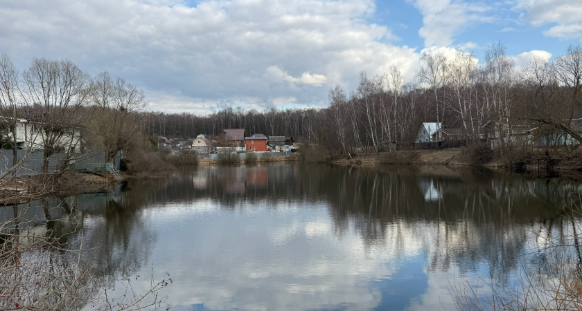 В пруду села Карагузино погибла рыба из-за недостатка кислорода