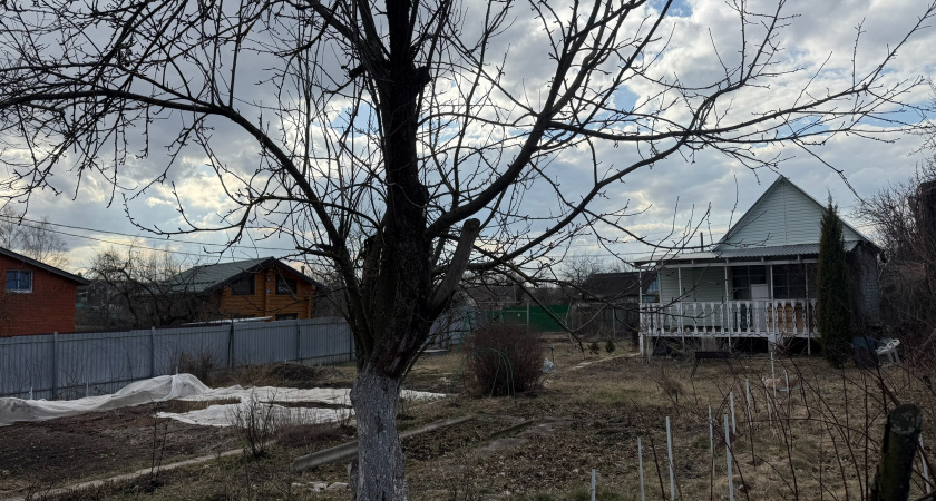 Дачникам "связали" руки: теперь за это действие на участке придется заплатить штраф