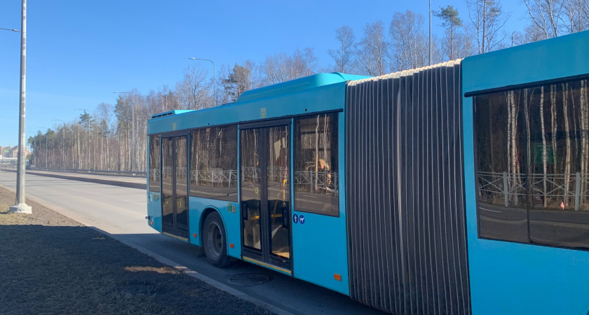 В Оренбурге водитель автобуса наехал на пешехода