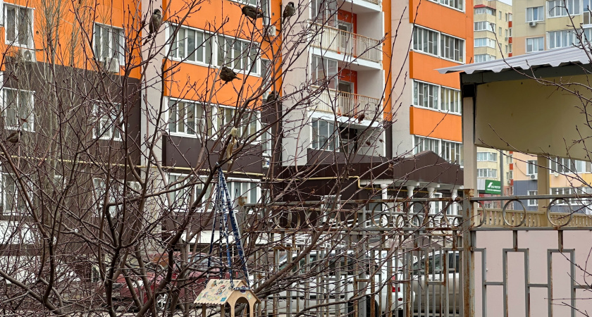Зайдут в квартиру без стука и влепят штраф – массовые проверки по ЖКХ начались в апреле