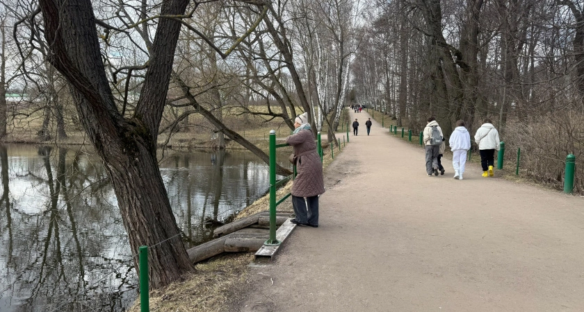 Фото к статье: Пенсионеров без завещания ждут неприятности уже в мае: на что стоит обратить внимание