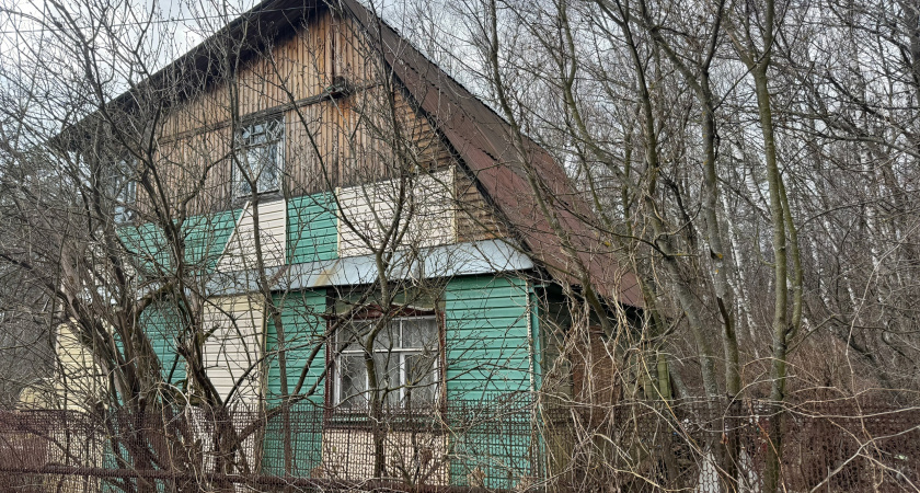 Гости уже на участках - ждите: дачники встретились с новым ограничением - штраф 2000 рублей за такой урожай