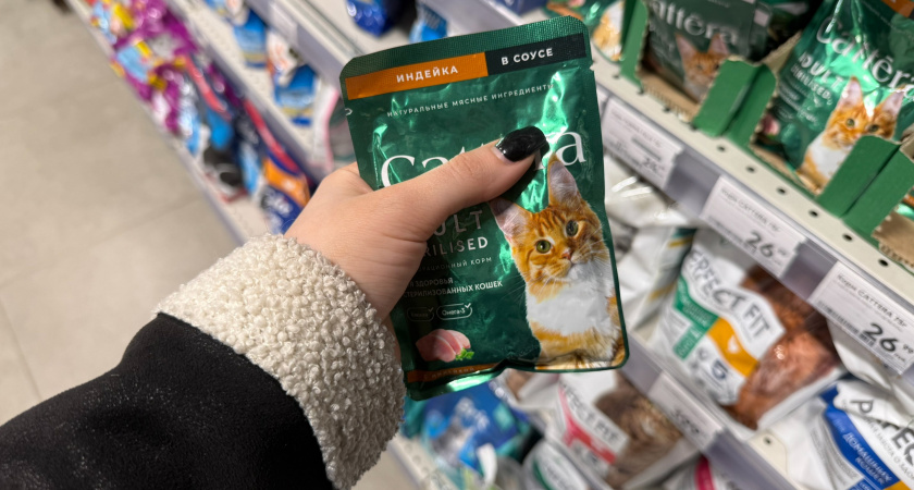"Не травите этим кошек": в Роскачестве озвучили худшие марки корма для питомцев