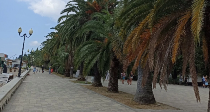 "Еле ноги унесли от этого гостеприимства": россиянин оставил честный отзыв об отдыхе в Абхазии