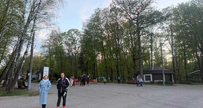 Более 55 тысяч оренбуржцев проголосовали за новый объект благоустройства