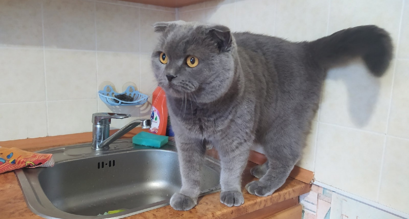 Гости уже в подъездах, ждите: в мае будут штрафовать всех, кто живет в многоэтажках - названы условия