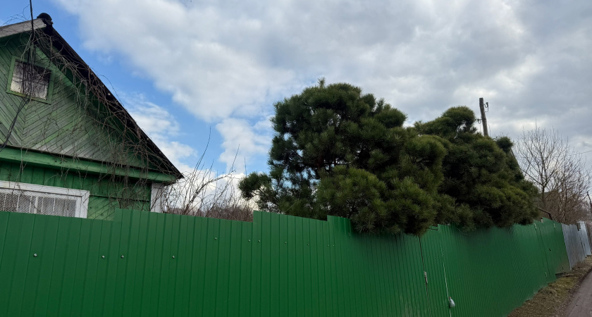 На 4 тысячи рублей: миллионов дачников ждет новый штраф уже с 10 мая