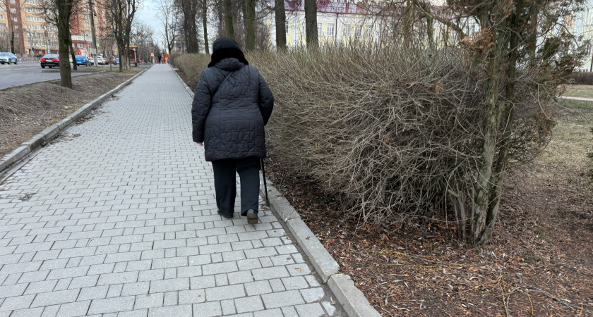 В пенсионный стаж войдут новые периоды работы в 90-е. Пожилых предупредили о новых изменениях в выплатах с июля 