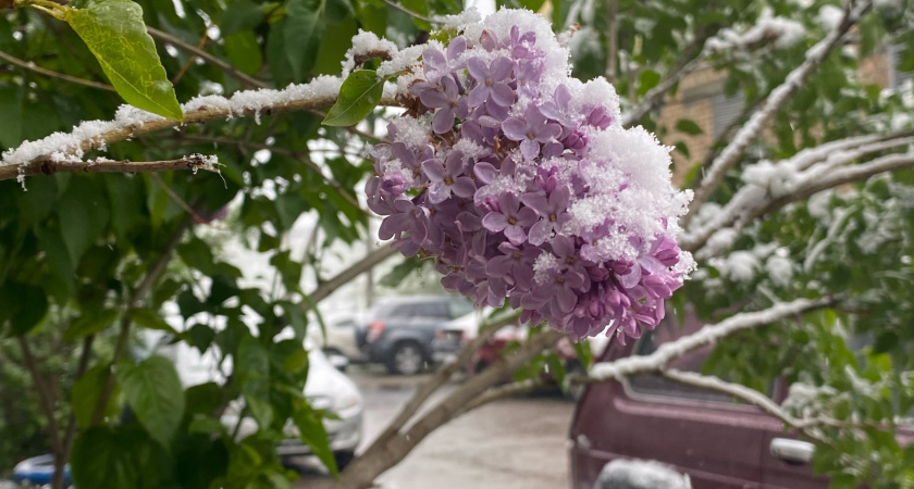 Погода поменяется за 1 день: заморозки сменит адская жара - Вильфанд дал точный прогноз на начало лета  
