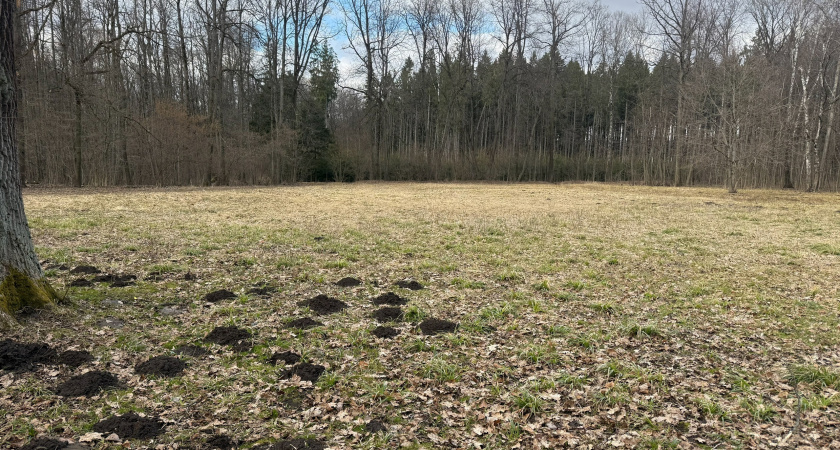 В Домбаровском районе убрали стихийную мусорную свалку