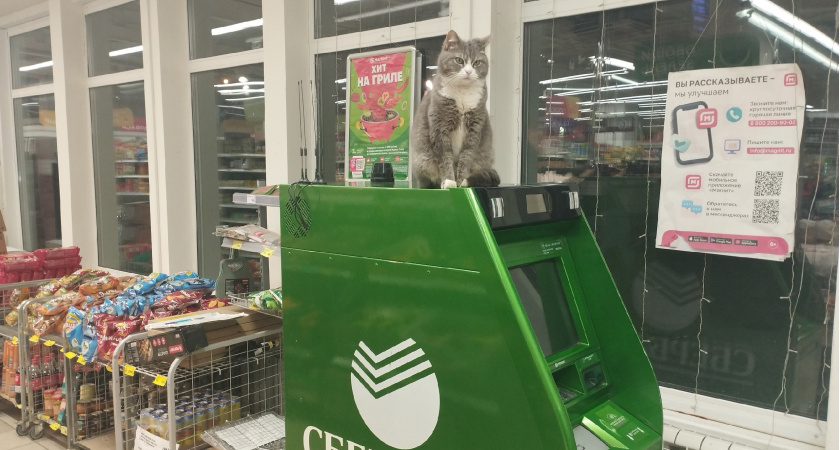 Банкоматы больше не примут - грустный сюрприз для тех, кто хранит купюры в 5 000 рублей