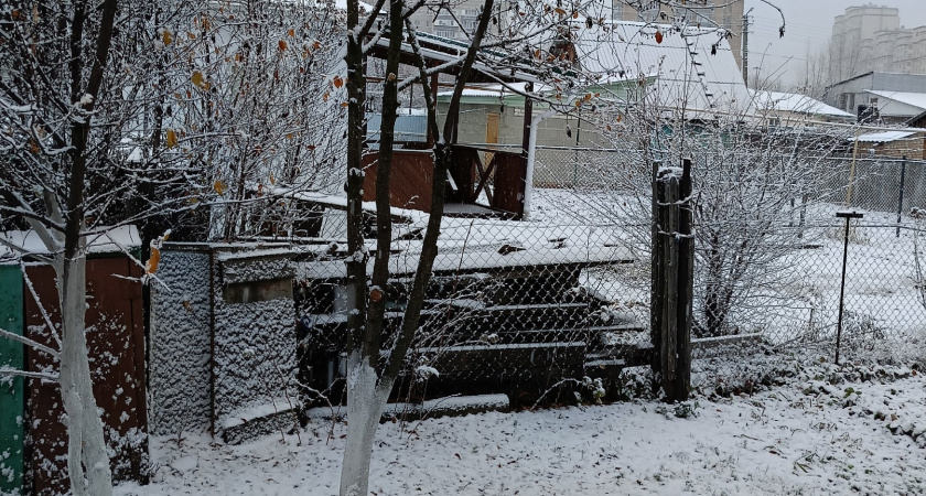 Зима решила отыграться: до –5 и свирепый ветер — погода готовит сюрприз в конце мая. Что говорят синоптики