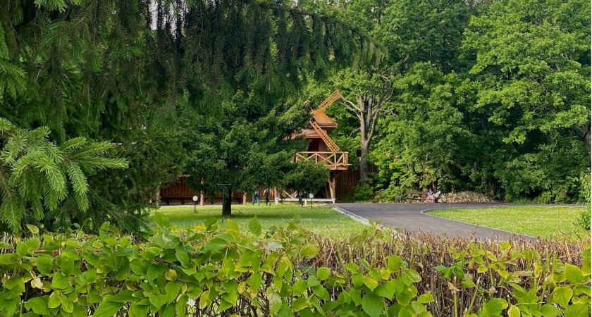 Природа Бузулукского бора была особенно популярна на майских праздниках 