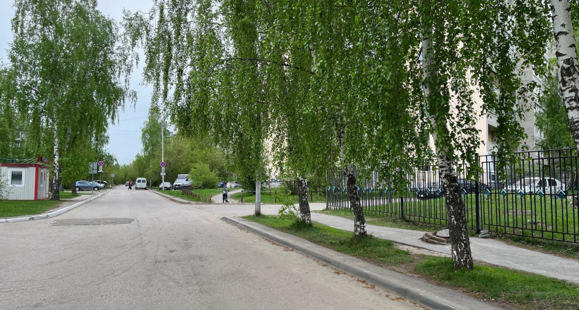 В Оренбурге объявили тендер на покос травы в городе