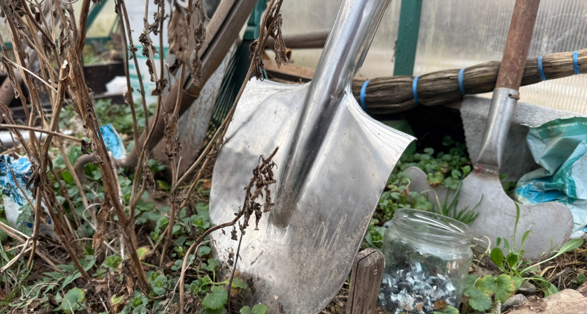 За инструменты и садовую технику на даче россиян теперь начнут штрафовать с 1 июня