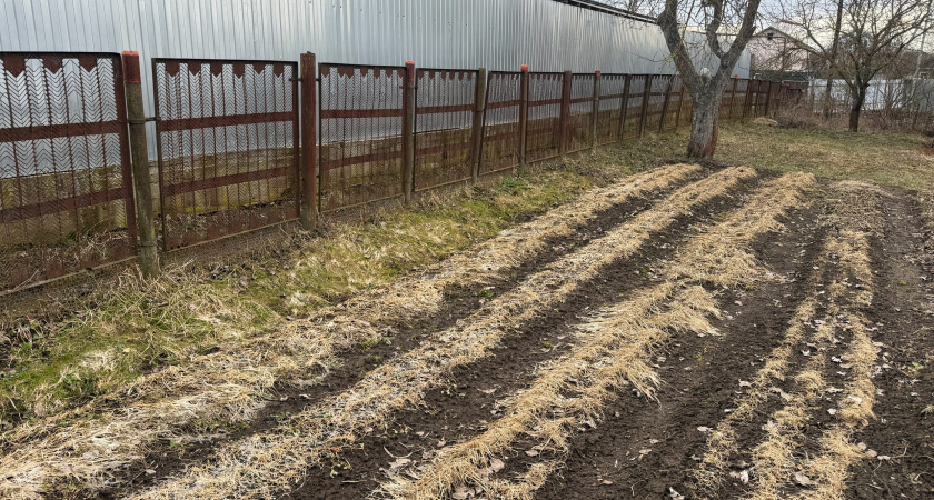 С 1 июня будут полностью запрещены компостные кучи: всех дачников ждет неприятное правило 