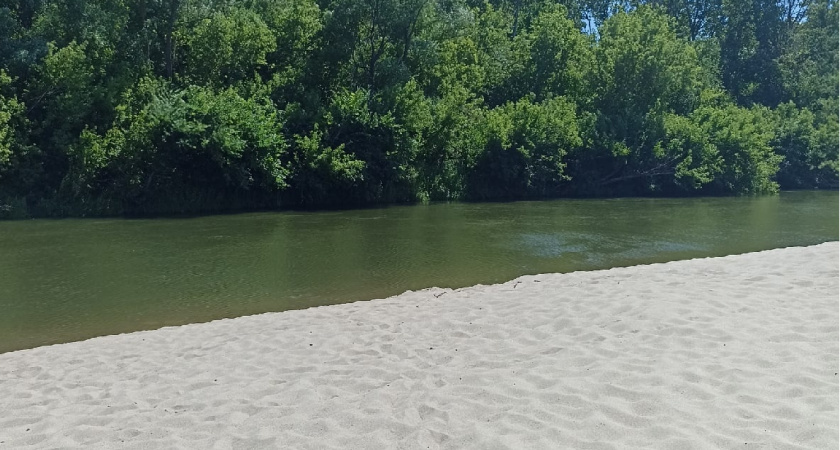 В этом году в Орске нельзя будет купаться в реке Урал 