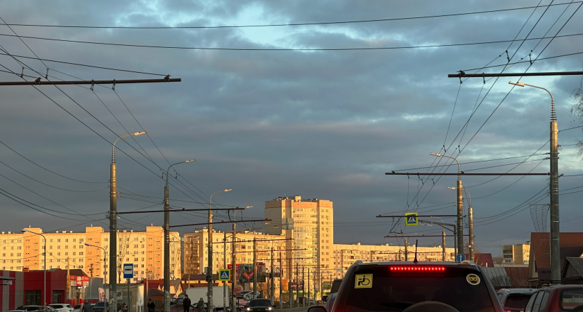 Власти Оренбуржья опровергли информацию о передачи лесопосадки частнику