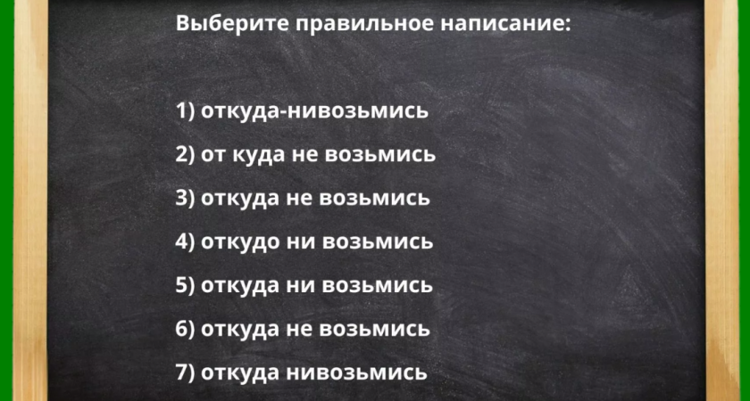 Кто ошибся — прогуливал русский в школе: какой вариант написания — единственно верный? 