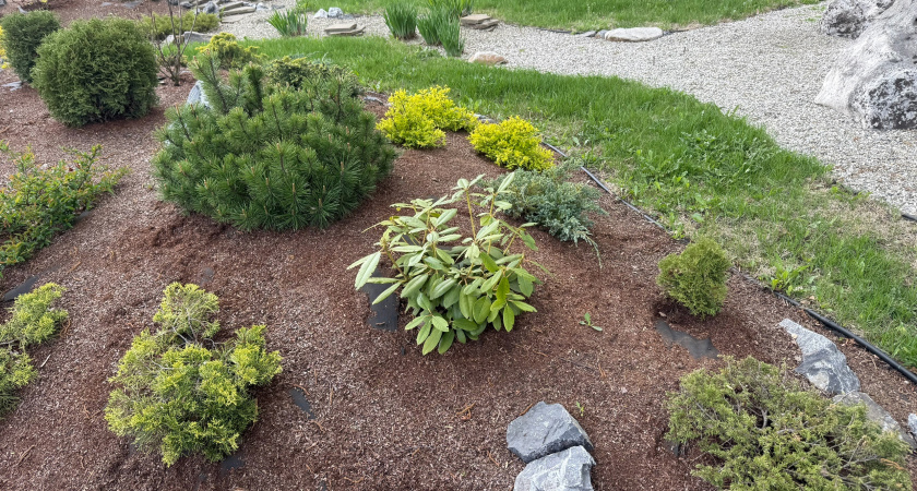 В Оренбурге массово высаживают цветы на клумбах и улицах