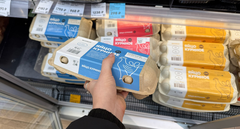 Не выбрасывайте лотки от яиц: делюсь рабочим способом, который неожиданно хорошо работает даже в маленькой квартире