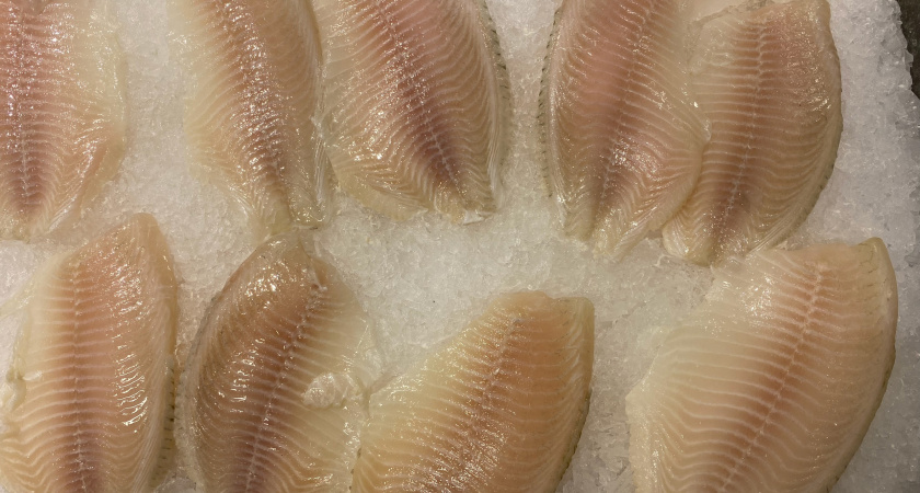 Ученые назвали самую полезную рыбу — не тунец, не лакедра и в три раза полезнее семги