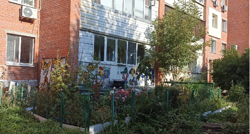 В Оренбурге идет плановая обрезка аварийных деревьев