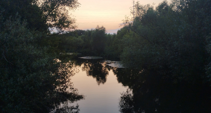 В Оренбургской области пожилая женщина погибла в озере