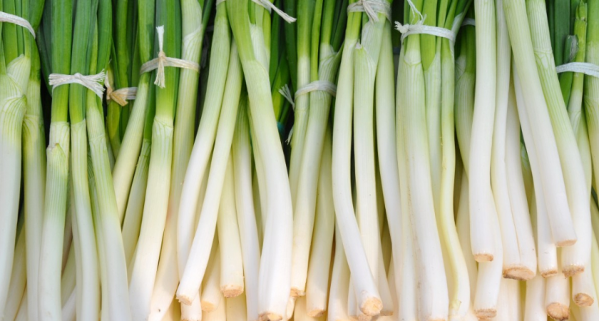 Как хранить зеленый лук, чтобы он не гнил в холодильнике: запомните раз и навсегда 