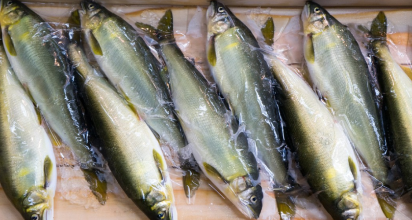 Рыба, которую советуют есть для здоровья, оказалась опасной — в ней нашли ртуть и мышьяк, а многие продолжают покупать ее