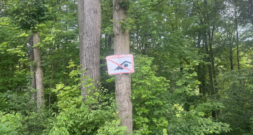 За сутки в Оренбургской области на воде погибли три человека