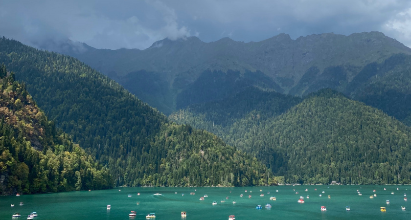 "Зато честно": Абхаз честно рассказал о народной лени, коровах и туристах из России