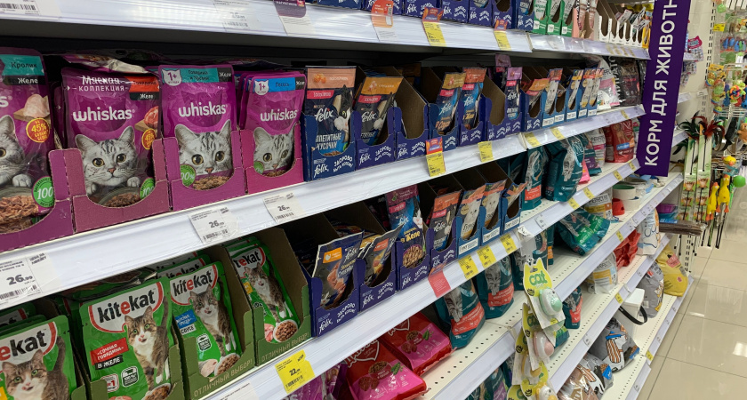 "Не травите этим кошек": в Роскачестве озвучили самые худшие марки корма для наших питомцев