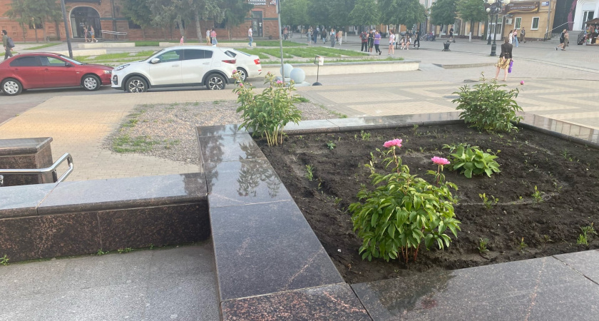 В Оренбурге началось летнее преображение Зауральной рощи