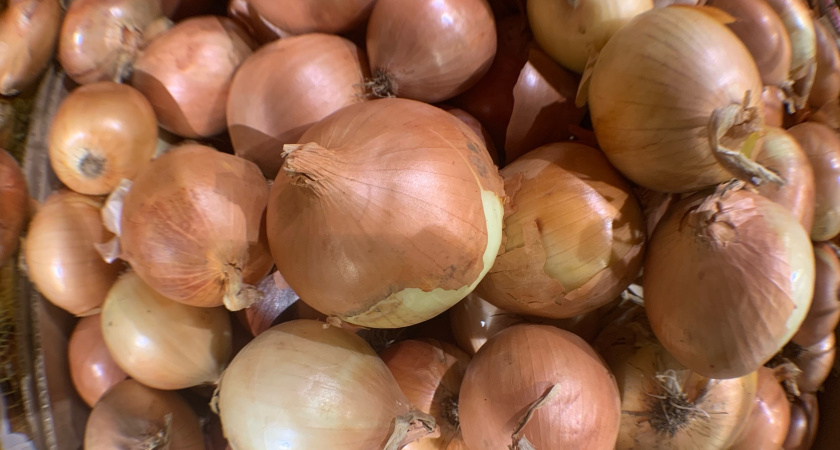 Вы все время делали не так: когда и как убирать лук, чтобы он не начал гнить и портиться уже осенью — советы от бывалых