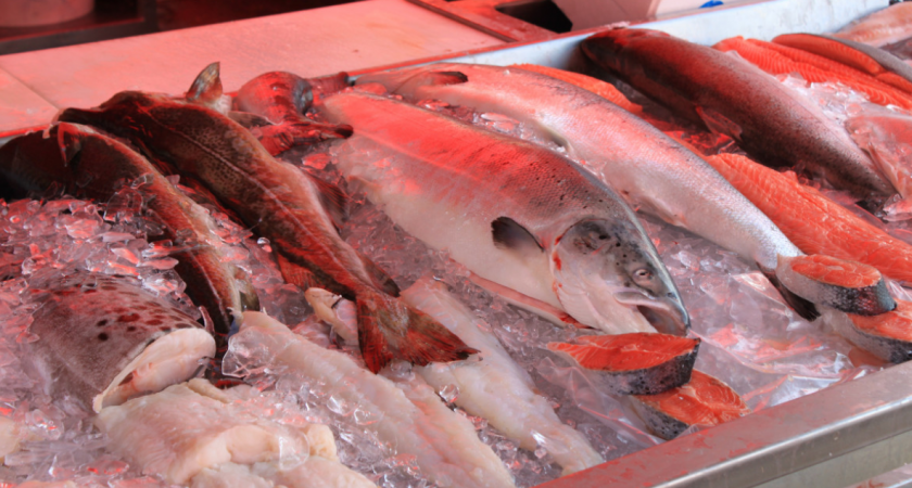 Ртуть, антибиотики и ещё кое-что: назвали самую опасную рыбу - а мы покупаем ее каждый день и детям даем