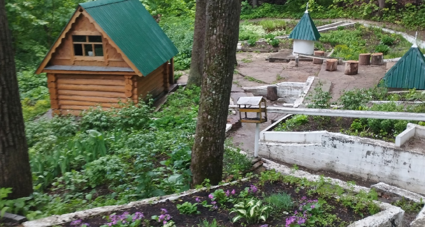 В Бузулукском бору лисенок стал новой звездой