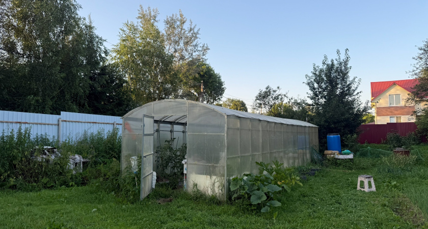 Соседей больше в теплицу в таких тапках не пускаю: все помидоры сгнили от этого - и удобрения не помогут 