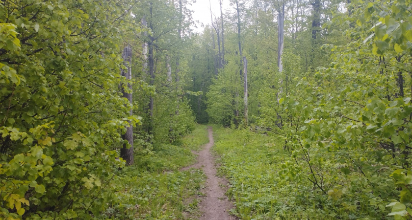 В Оренбуржье усилили контроль за охотниками