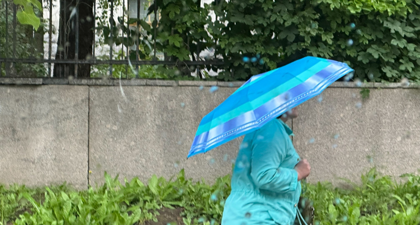 Оренбургскую область накроют грозы и жара