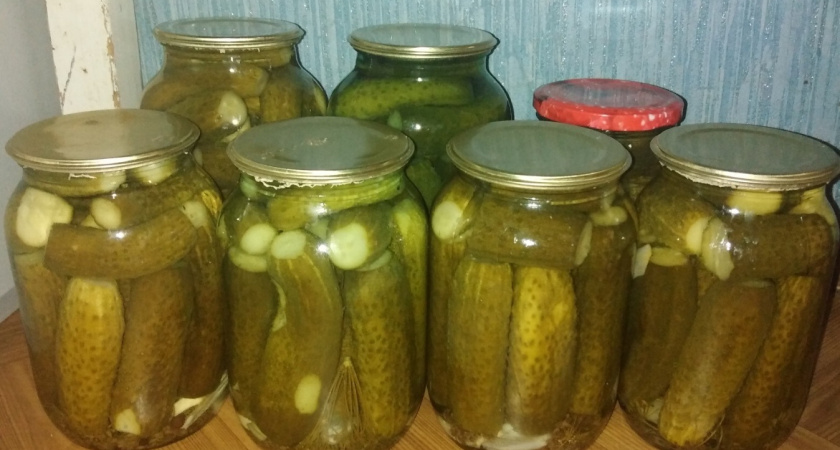 Огурцы на зиму закрываю только так, не остается даже рассола: все, кто пробует, просят рецепт