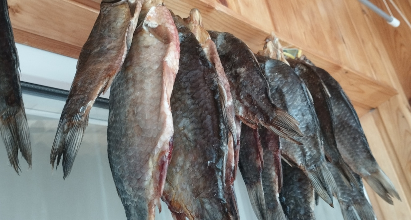 В Оренбургской области пресекли ввоз 28 тонн леща и воблы из Казахстана