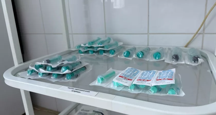 С начала года в Оренбургской области зафиксировано более 1600 случаев укусов клещей