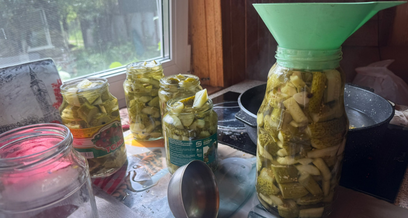 Обязательная заготовка на зиму: делаю 5 партий (35 банок) огуречной закуски — хранится в шкафу, а улетает со стола первой