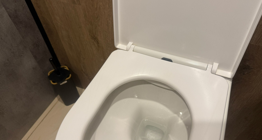 Почему на самом деле нельзя выкидывать туалетную бумагу в унитаз: запомните раз и навсегда