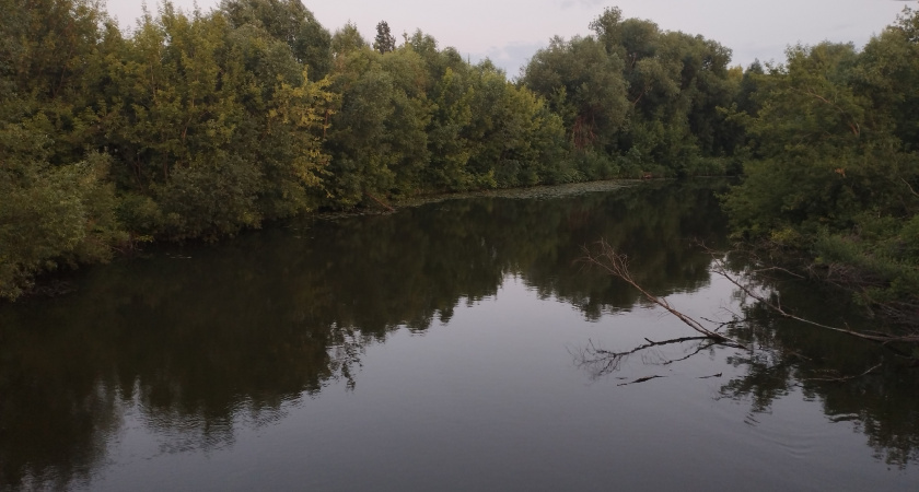 В реке Илек утонул мужчина