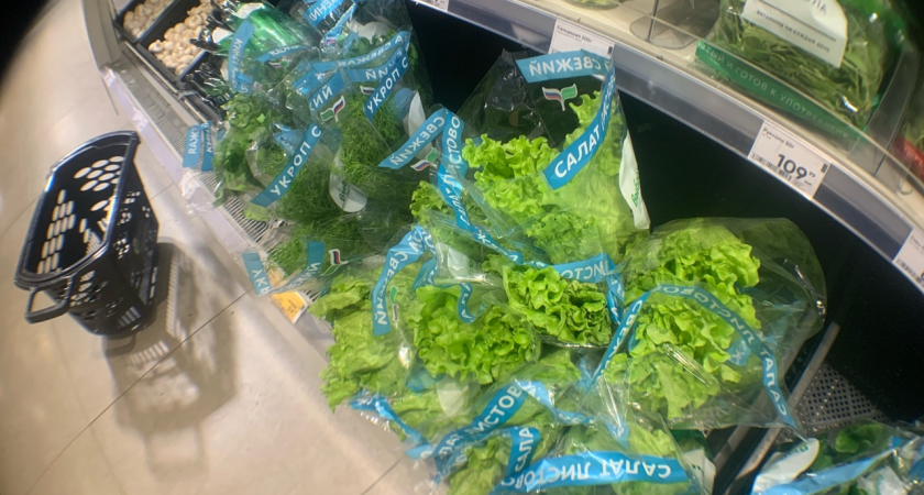 Овощ, который умертвляет почки: в Европе его не едят, а россияне пекут пироги и варят компоты