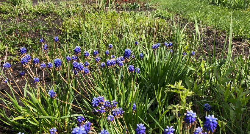 Оренбургский природный резерват празднует юбилей