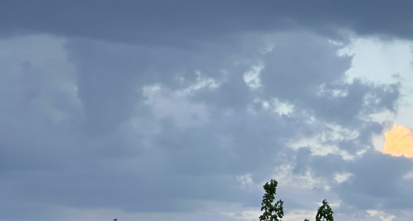 В администрации Оренбурга всё больше чиновников приезжают из Москвы вместо местных