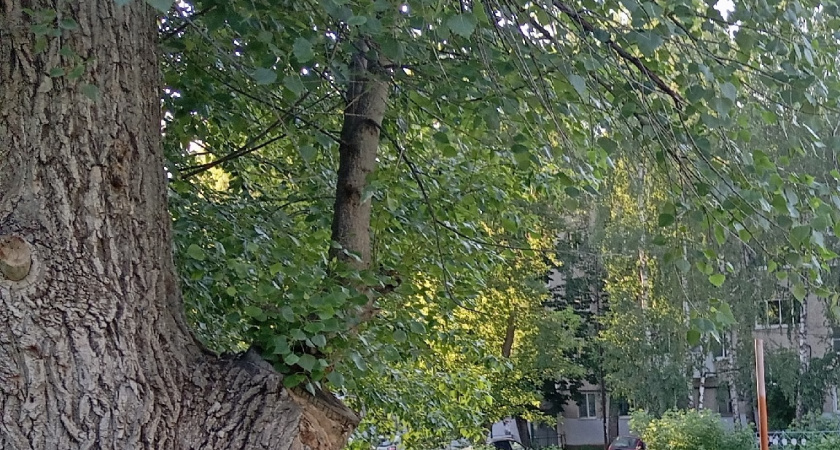 Три вещи, благодаря которым можно поменять свою жизнь в лучшую сторону